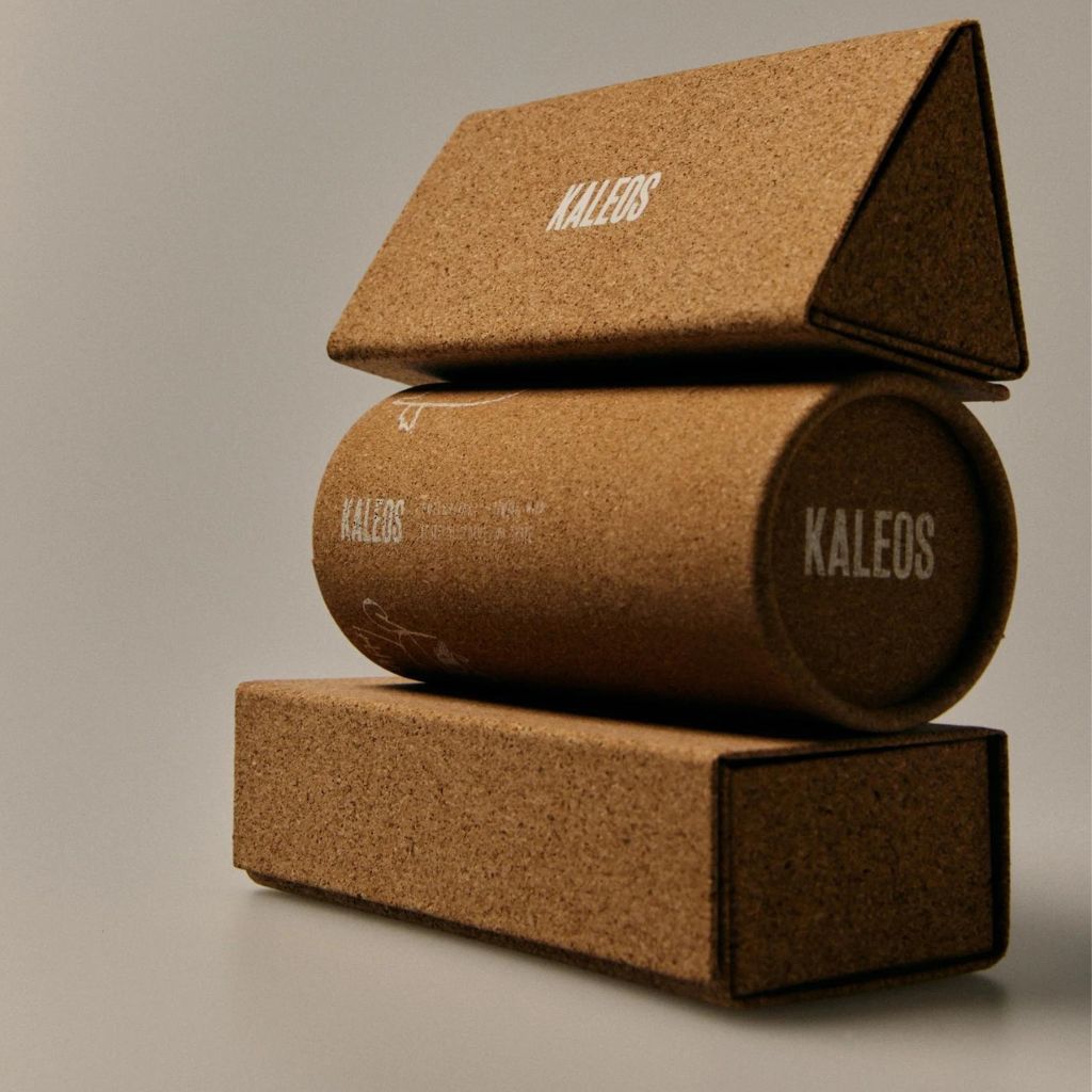 Descripción de la imagen