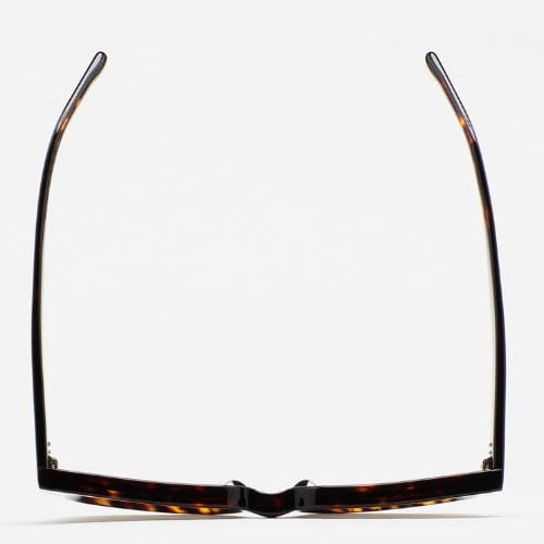 Descripción de la imagen