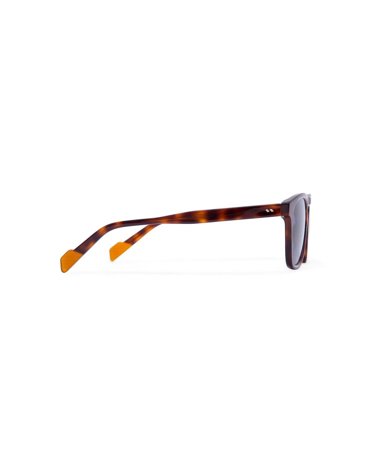 Atlant Brisbane sunglasses, Havana, side2 view