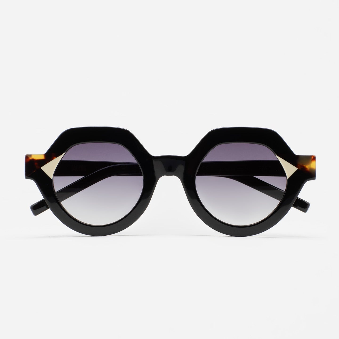 メガネ KALEOS FW25 Kaleos - Sachs - 3 (SACHS 3) 81228500-1.jpg?v=1694548453