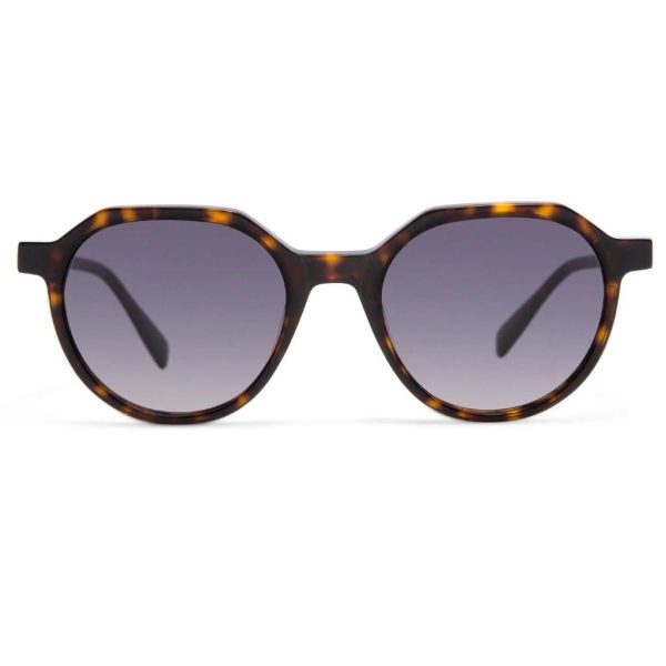 sunglasses-gigi-studios-siena-6911-2-havana-round-shape-by-kambio-eyewear-front